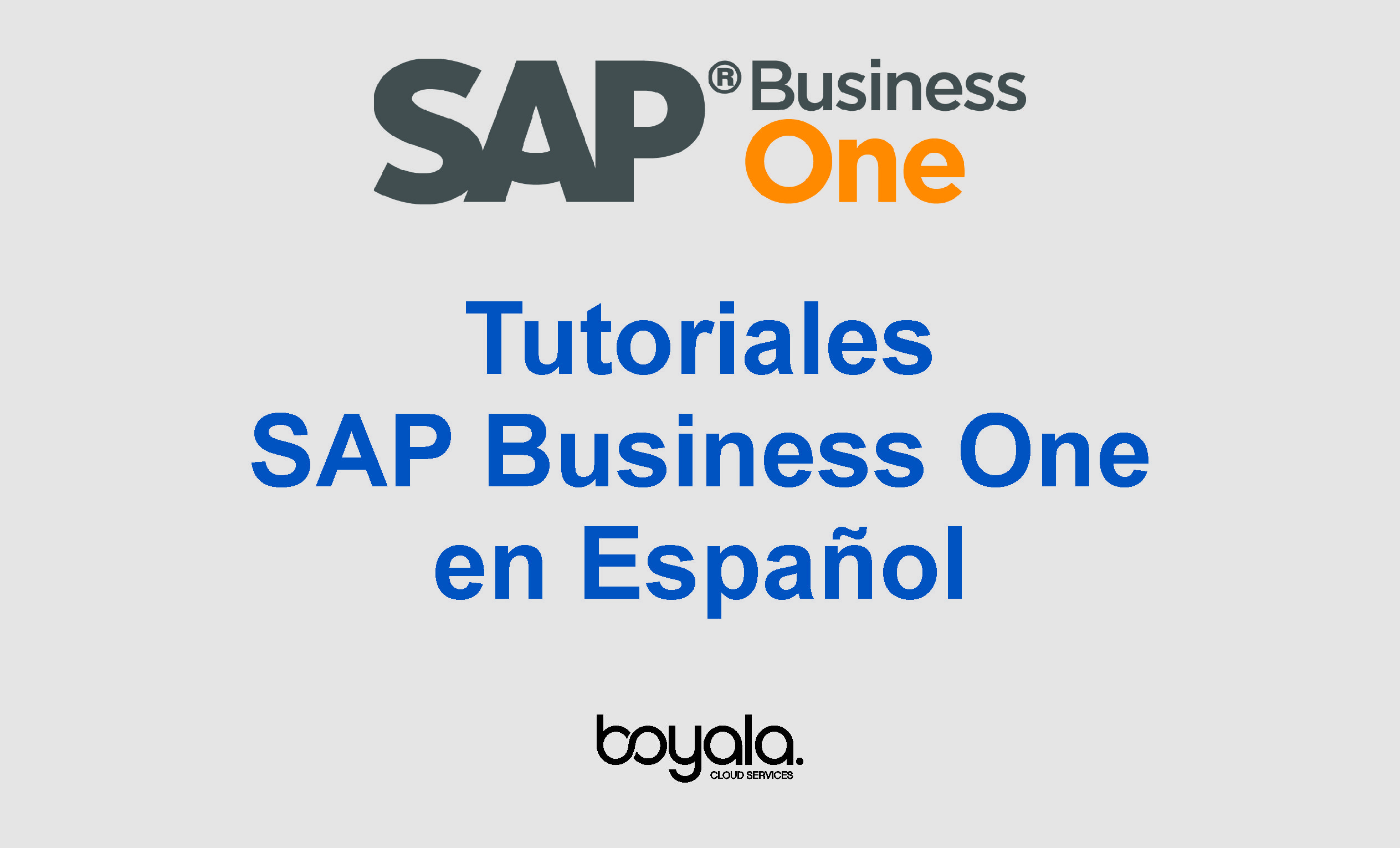 SAP Business One en Español